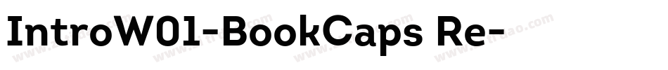 IntroW01-BookCaps Re字体转换